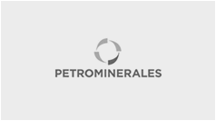 Proyecto Petrominerales